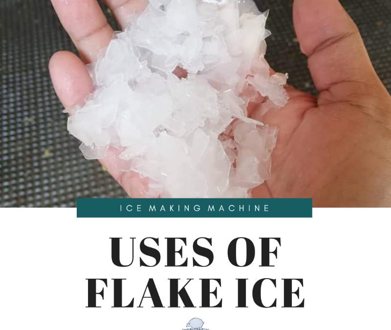 What are the uses of Flake Ice?